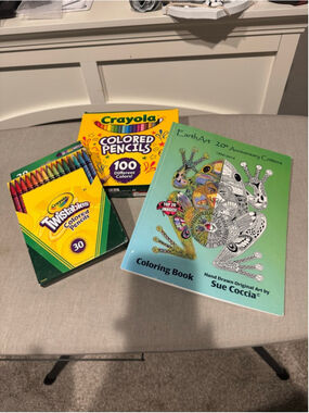 Crayola Arts & Crafts and Earth Art Yellow Critters Coloring Book & Pencils